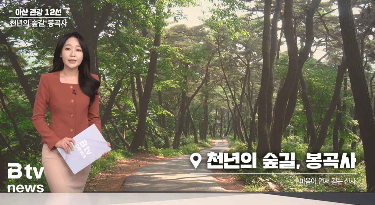 [Btv 뉴스] [아산 관광 12선] ⑪ 천년의 숲길, 봉곡사