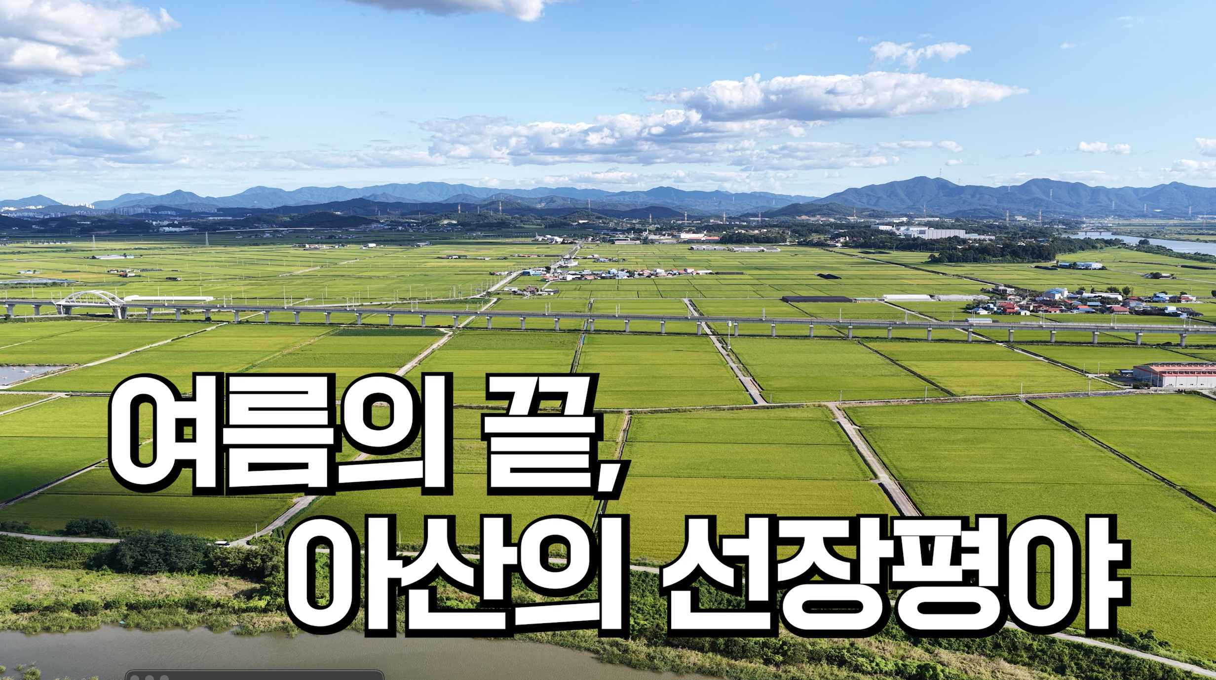여름의 끝, 아산의 선장평야